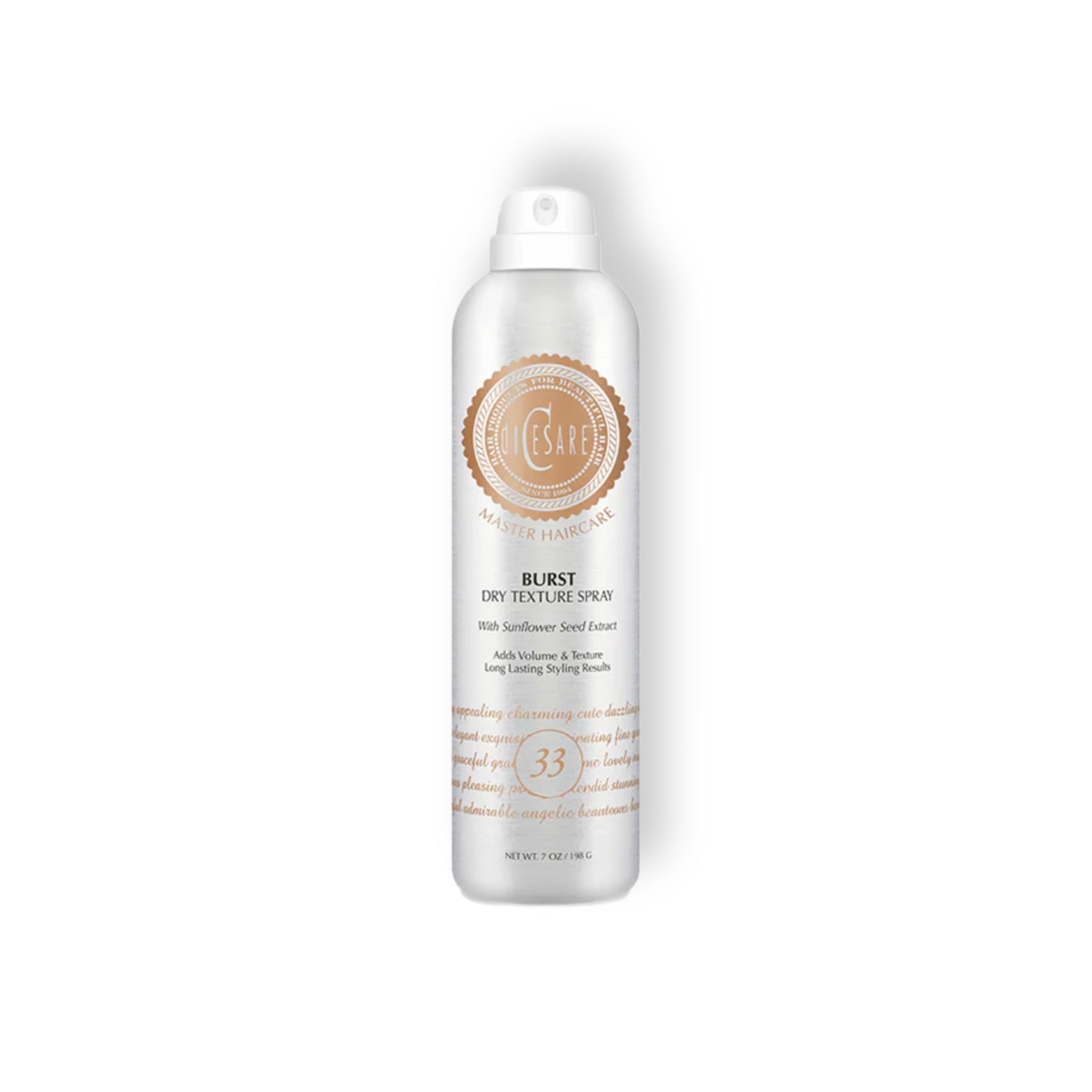 Burst Dry Texture Spray - Creates instant thickness, shape, and texture SORRY SOLD OUT !