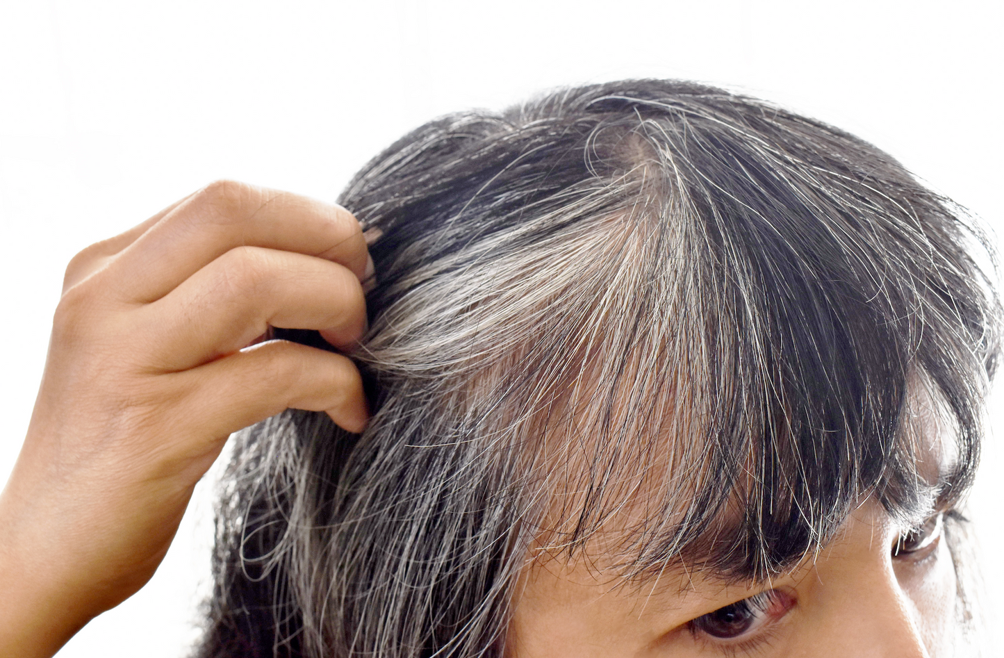 Thicken Hair Fiber -Salt & Pepper-